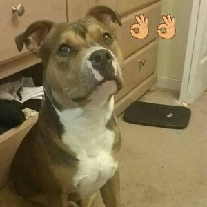 Meet your Posher, Walter