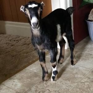 Meet your Posher, Keith