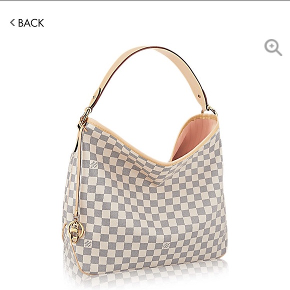 IN SEARCH OF Louis Vuitton Delightful PM - Picture 1 of 1
