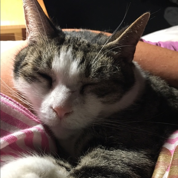 Meet your Posher, Heather - Picture 1 of 1