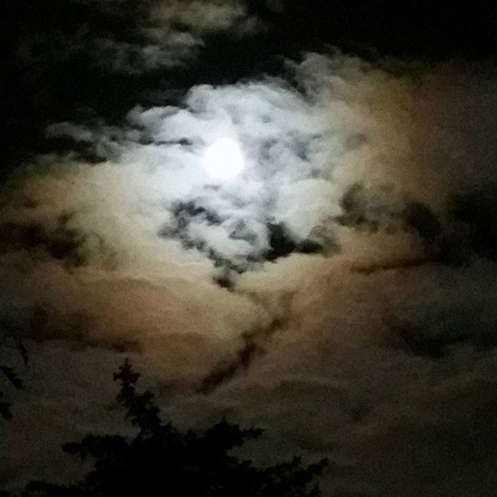 Meet your Posher, Aurora