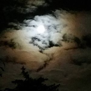 Meet your Posher, Aurora