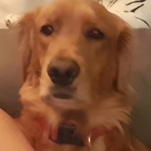 Meet your Posher, Sharon