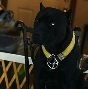 Meet your Posher, Jacque