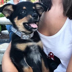 Meet your Posher, Mallory