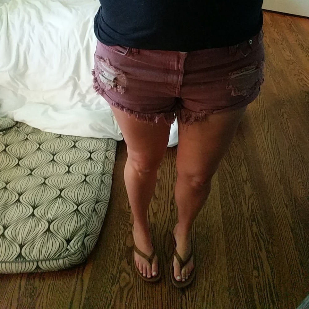 Vici Collection Entourage Shorts in Wine