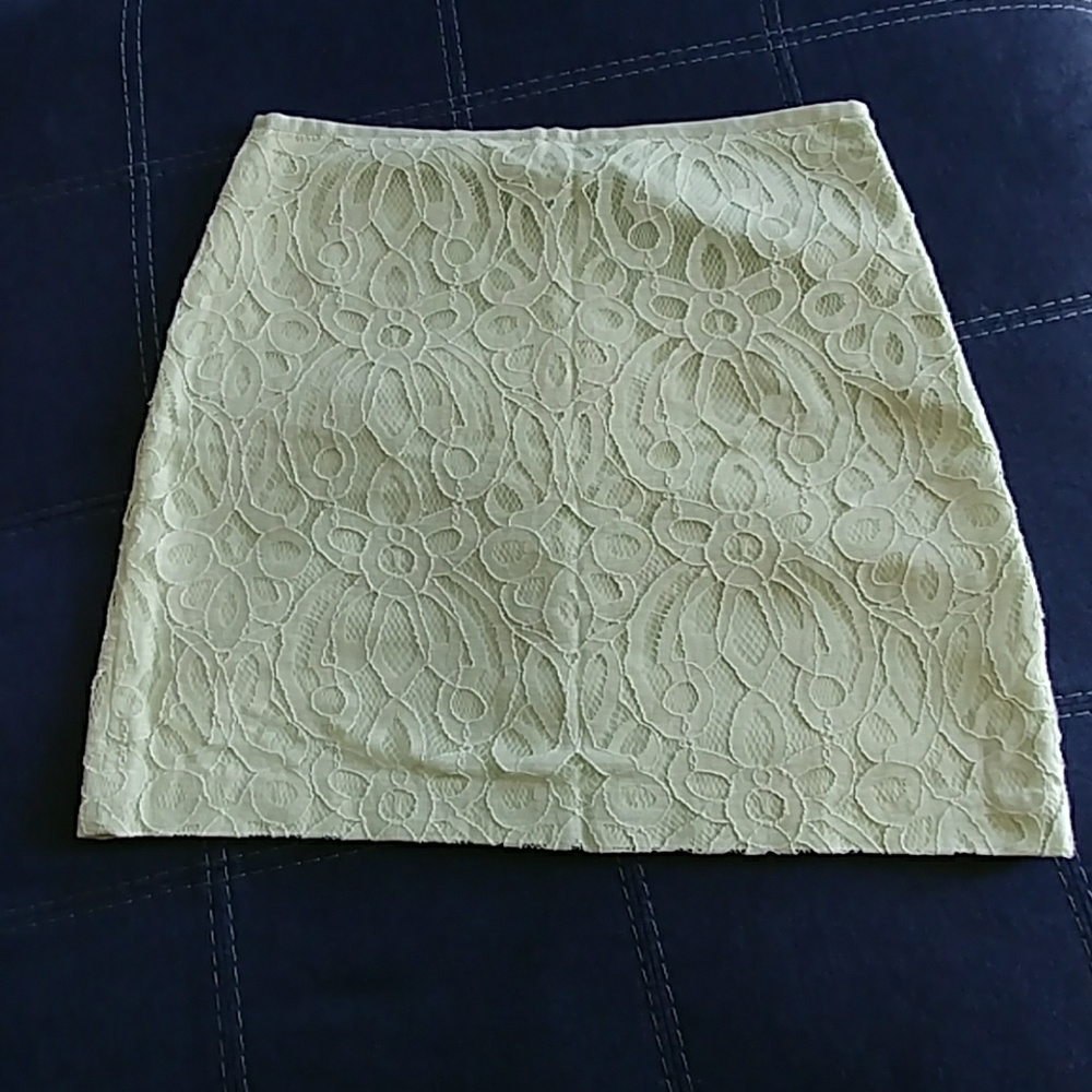 Lace Skirt from Ann Taylor Loft