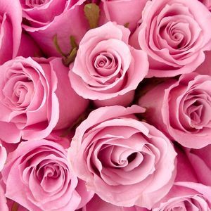 Meet your Posher, Anayah