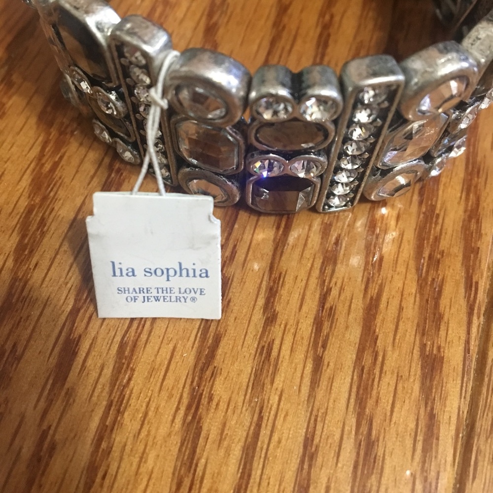 Beautiful lia Sophia braclet