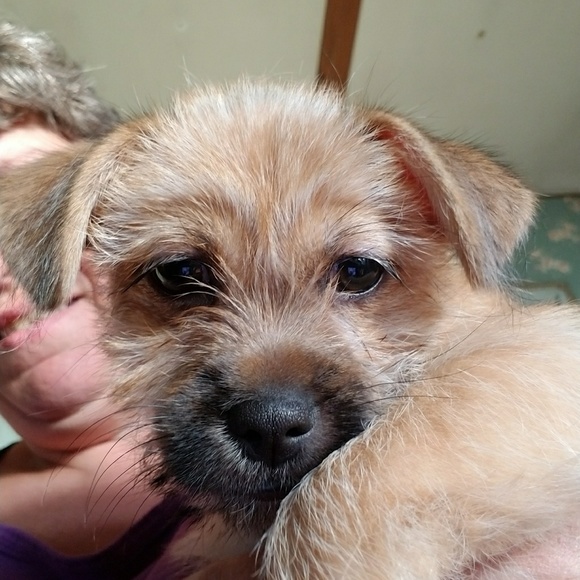 Meet your Posher, Kim - Picture 1 of 1