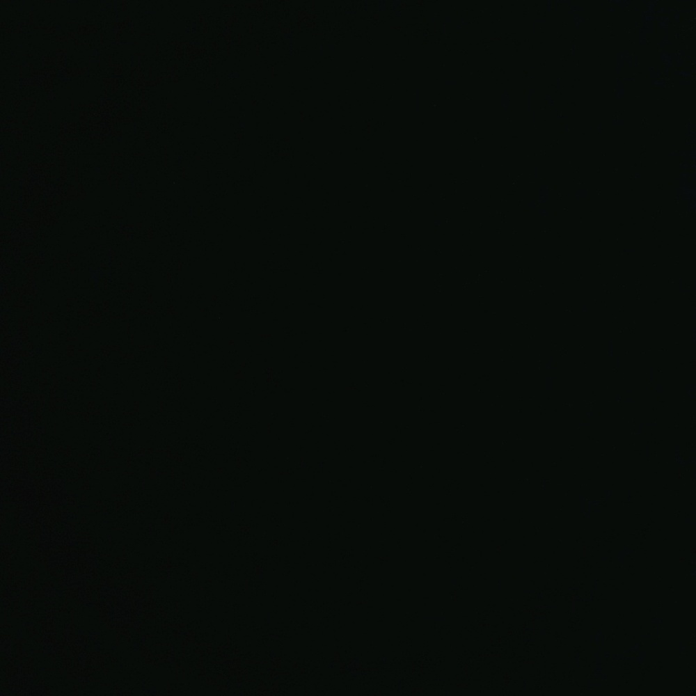 Meet your Posher, Cheyenne