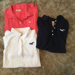 3 Hollister Polos