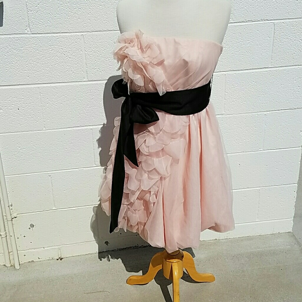 White by Vera Wang ballet pink dress with petals