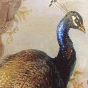 Meet your Posher, Lindy