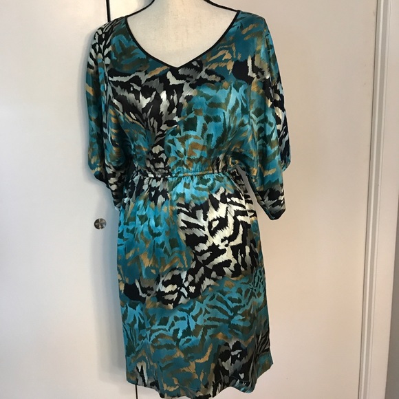 Tyler Boe | Dresses | Tyler Boe Silk Dolman Sleeve Dress | Poshmark