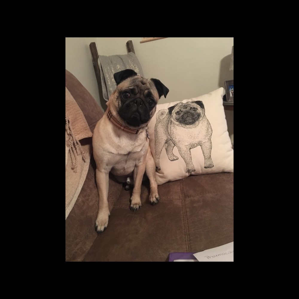 Meet your Posher, Mary