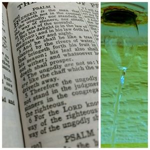 Meet your Posher, Skeets