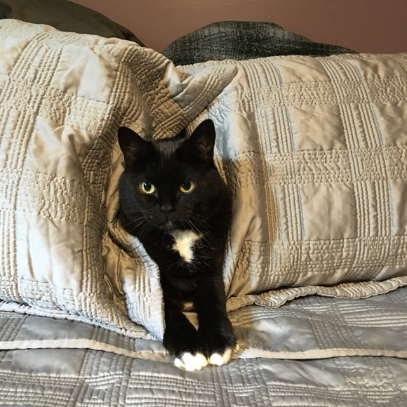 Meet your Posher, Megan - Picture 4 of 4