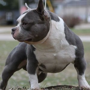 Meet your Posher, Patrick