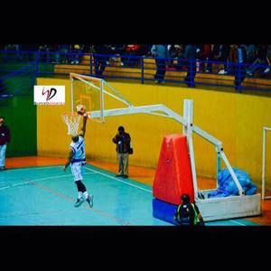 Meet your Posher, Joey