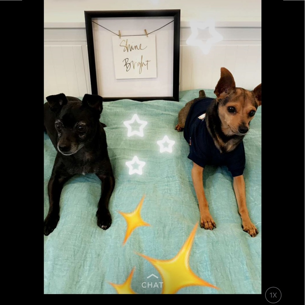 Meet your Posher, Rachel