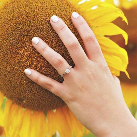 Meet your Posher, Jessica - Picture 6 of 8