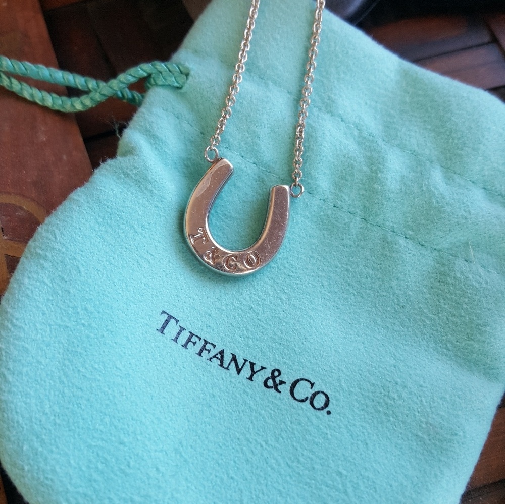 Tiffany&Co necklace limited ed