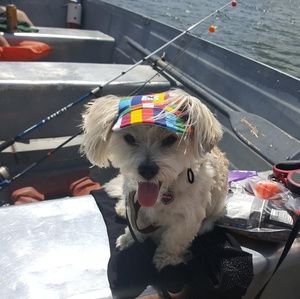 Meet your Posher, Katarzyna