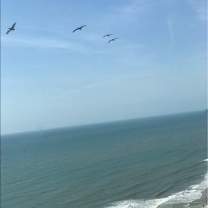 Meet your Posher, Monique