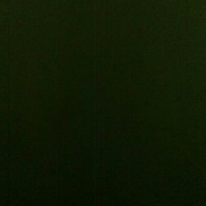 Meet your Posher, Lynnette