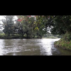 Meet your Posher, Alberto