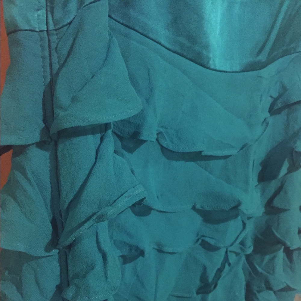 Monsoon Silk Ruffled Dress - $ to Animal Rescue! - Picture 4 of 4