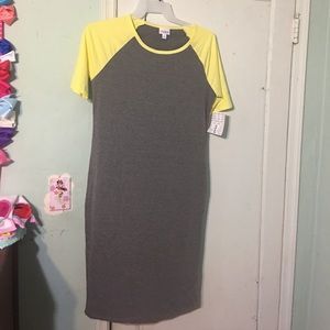 Nwt large julia