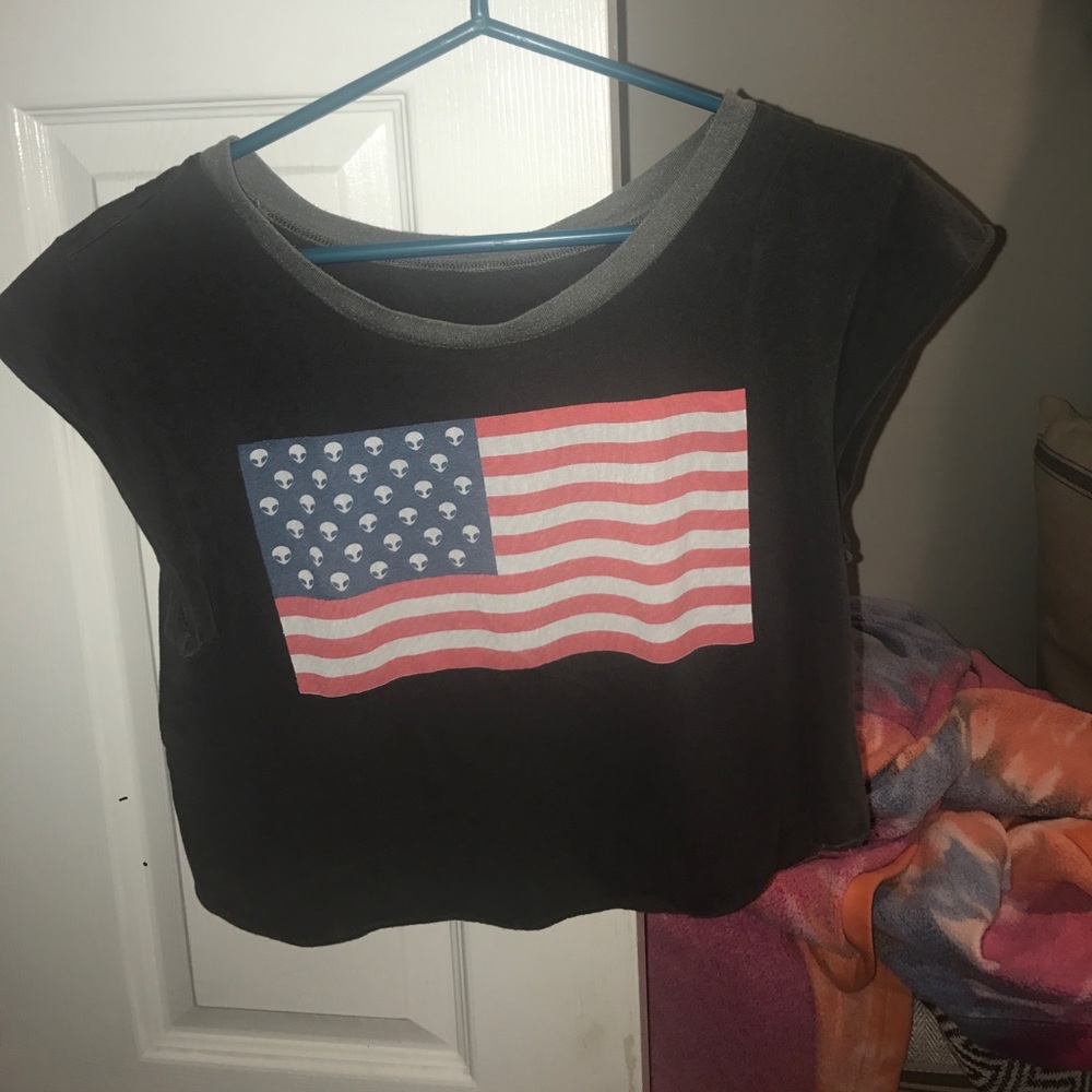 Brandy Melville Crop Top