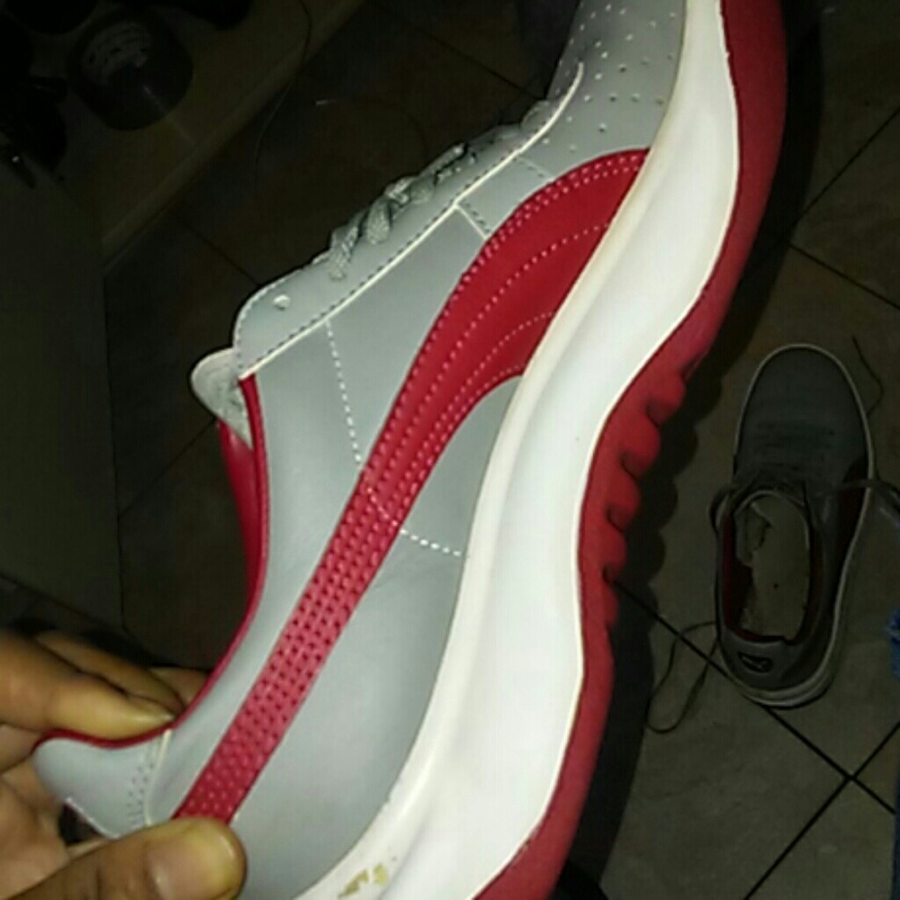 Pumas - Picture 3 of 4