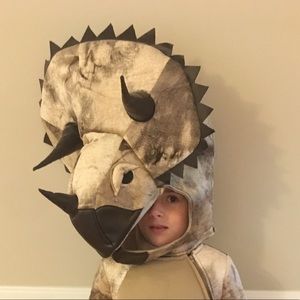 Wishcraft Triceratops Costume (Boys size 6)