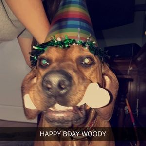 Meet your Posher, Annie