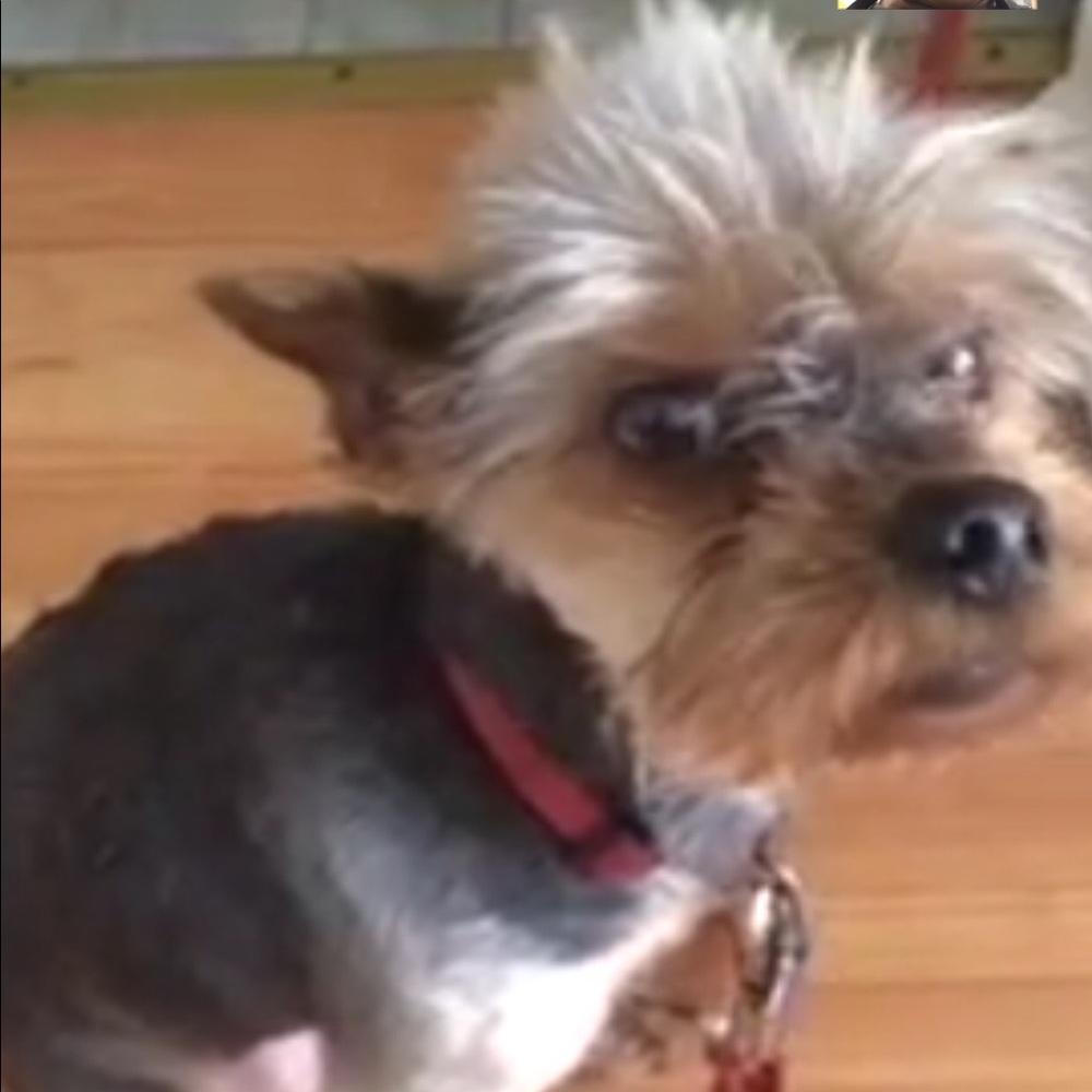 Meet your Posher, Jackie