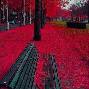 Meet your Posher, Jazmin