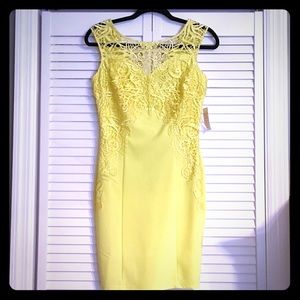 Venus Lemon Yellow Lace Dress