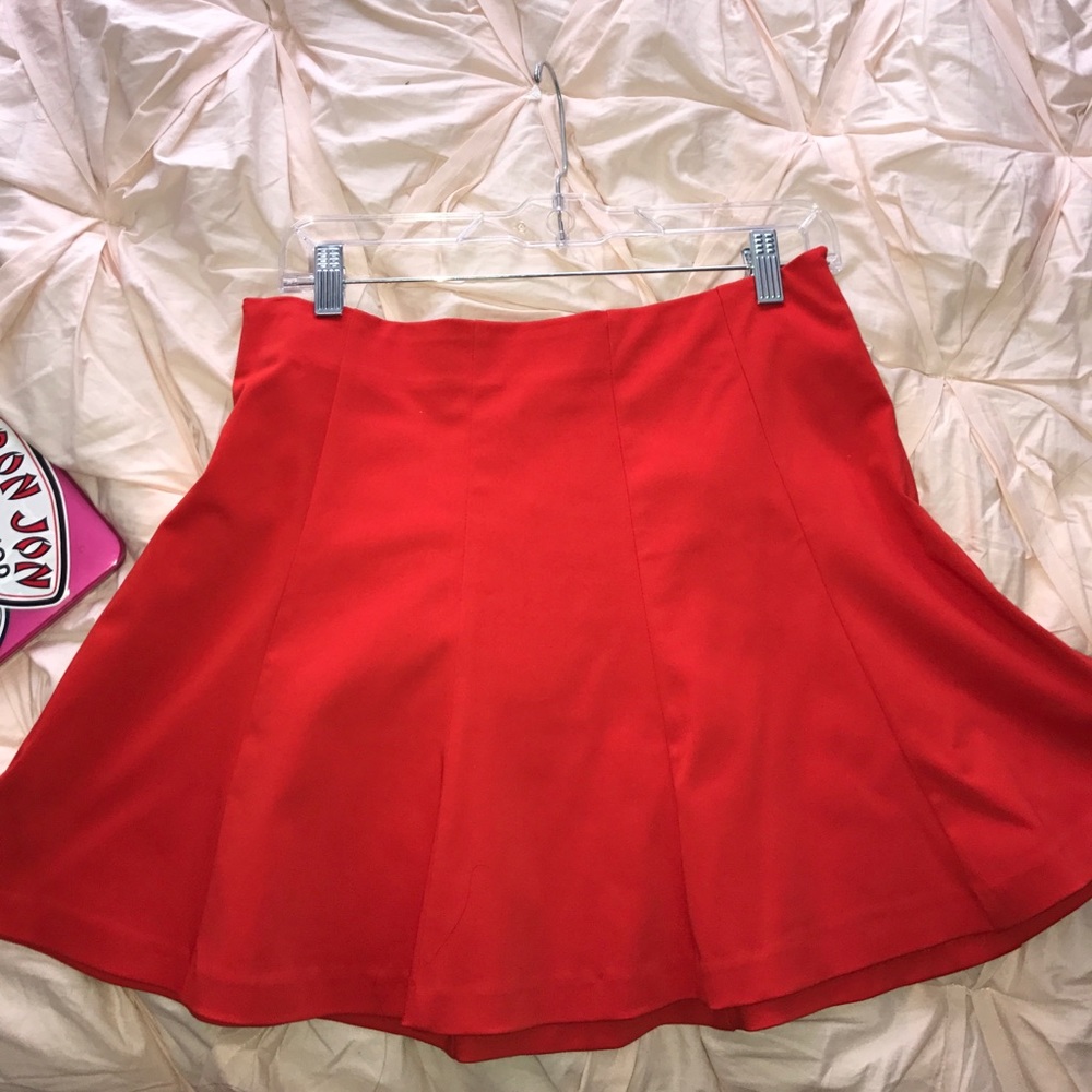 NWT Zara skirt