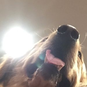 Meet your Posher, Caitlyn