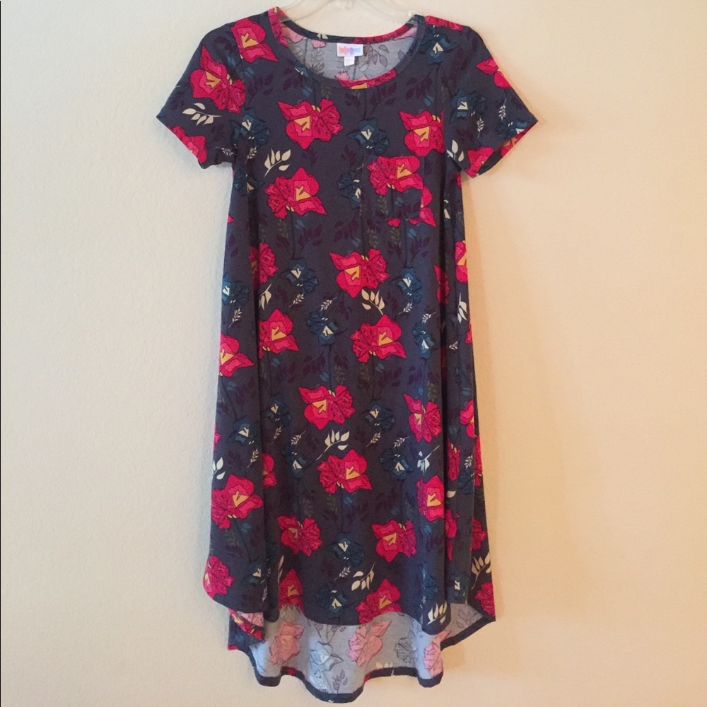 LULaRoe Carly - EUC - sz XXS