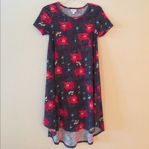 LULaRoe Carly - EUC - sz XXS