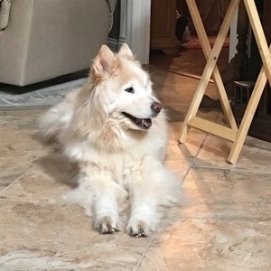 Meet your Posher, Jayda