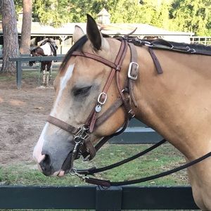 Meet your Posher, Meghan