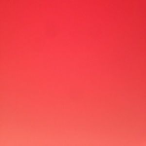 Meet your Posher, Cesar