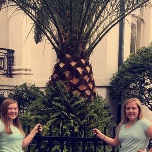 Meet your Posher, Lily