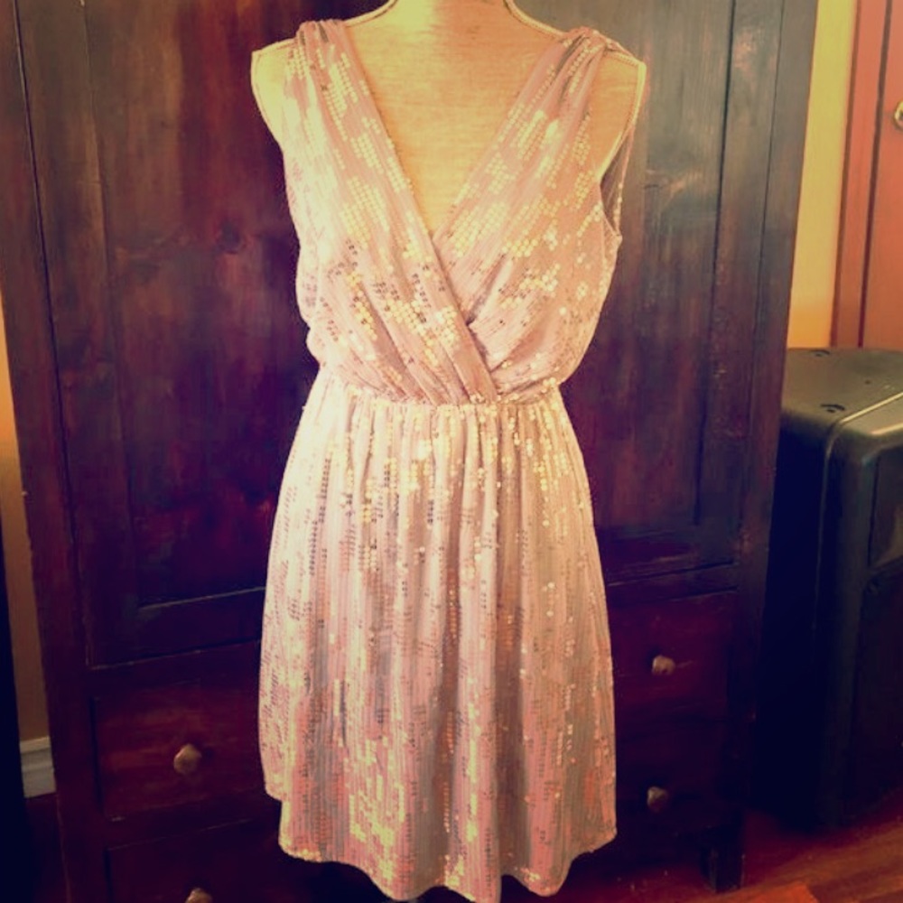 Express Tan Sequin Dress