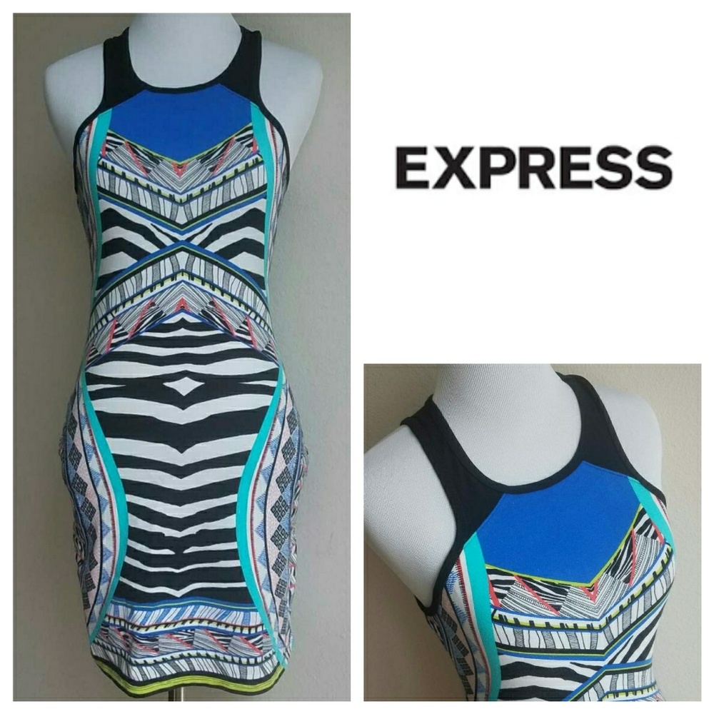 Colorful Zebra Printed Form Fitting Mini Dress